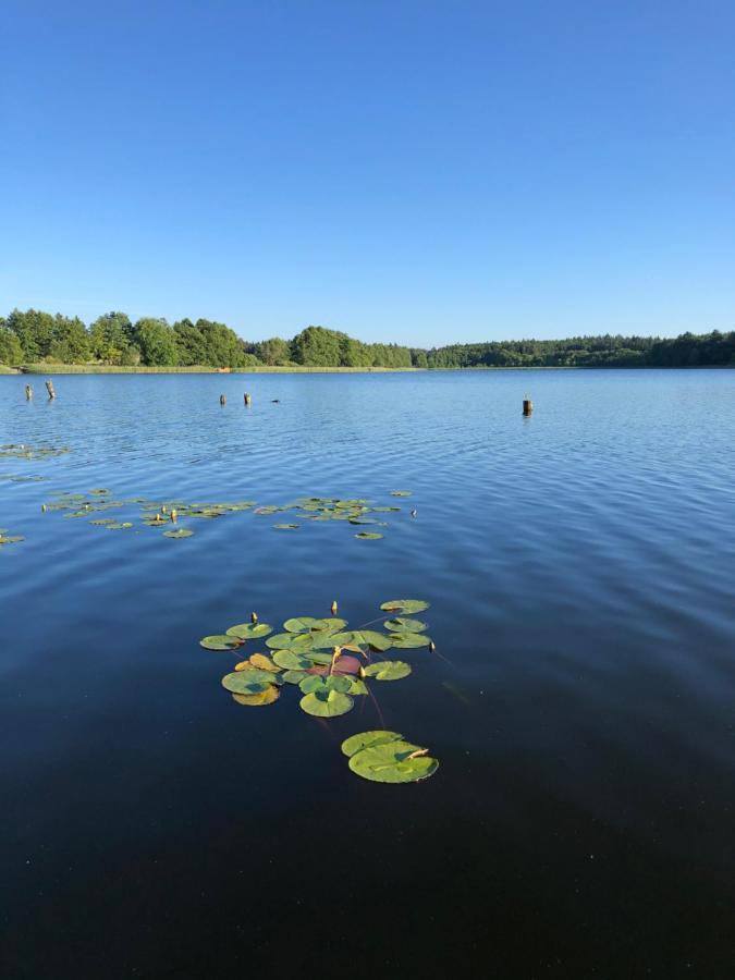 5 Sterne-Ferienhaus Eisvogel Am See Mit Sauna Und Kamin Krakow am See Zewnętrze zdjęcie