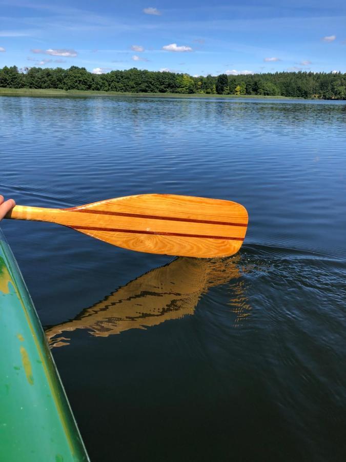 5 Sterne-Ferienhaus Eisvogel Am See Mit Sauna Und Kamin Krakow am See Zewnętrze zdjęcie